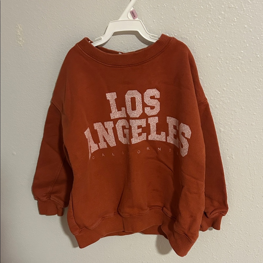 Zara Kids Rust Los Angeles Sweater